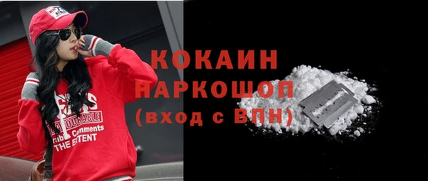 2c-b Горняк