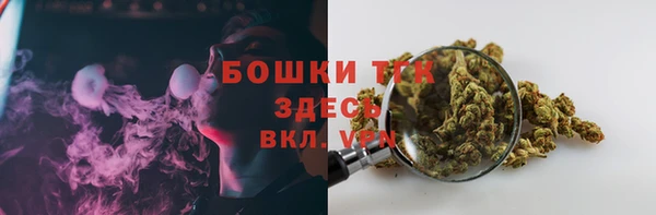 мяу мяу мука Горно-Алтайск