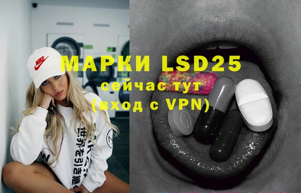 PSILOCYBIN Горнозаводск