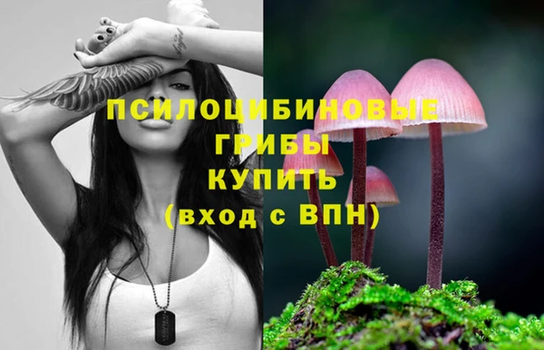 2c-b Горняк