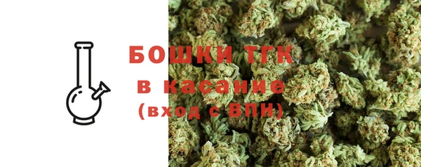 PSILOCYBIN Горнозаводск