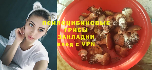 2c-b Горняк