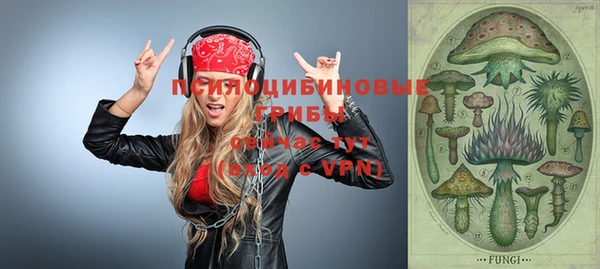 мяу мяу мука Горно-Алтайск