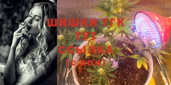 мяу мяу мука Горно-Алтайск