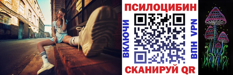 Псилоцибиновые грибы ЛСД  Купить закладки  Каргополь 